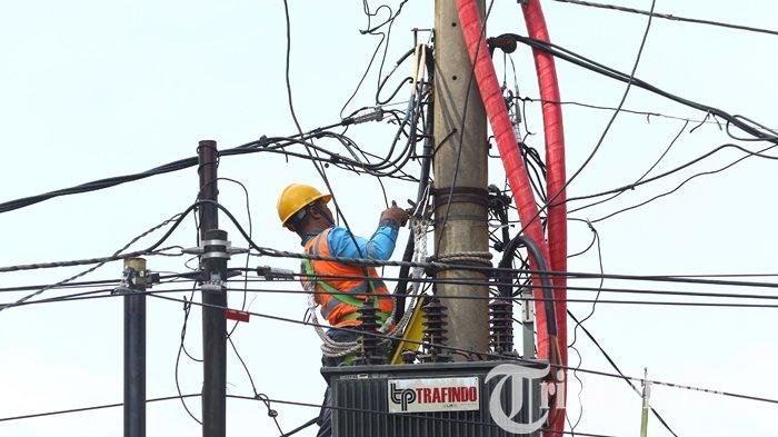 PLN