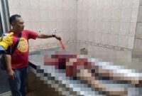 Source : Medan.Tribunnews.com